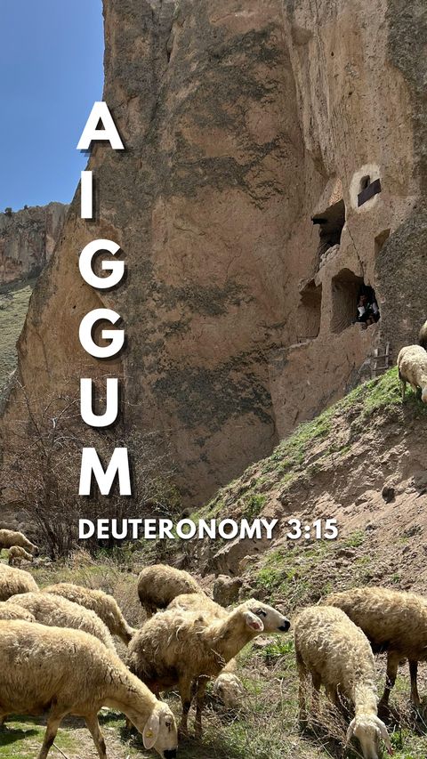 A.I.G.G.U.M. acronym with Deuteronomy 3:15 reference wallpaper