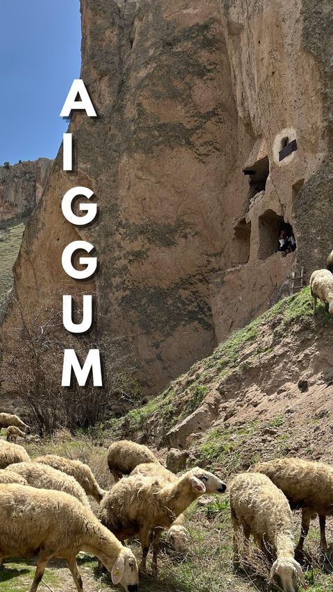 A.I.G.G.U.M. acronym-only wallpaper