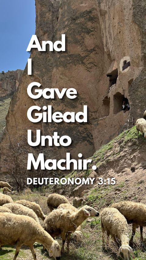 And I gave Gilead unto Machir — Deuteronomy 3:15 full verse wallpaper