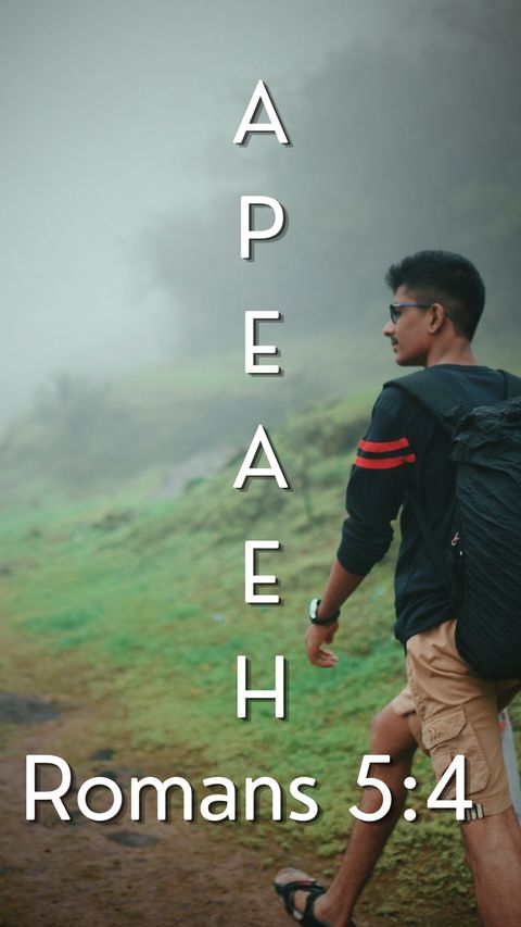 And Patience, Experience; And Experience, Hope (Romans 5:4) phone wallpaper, letters + reference