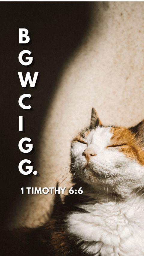 B.G.W.C.I.G.G. acronym with 1 Timothy 6:6 reference wallpaper