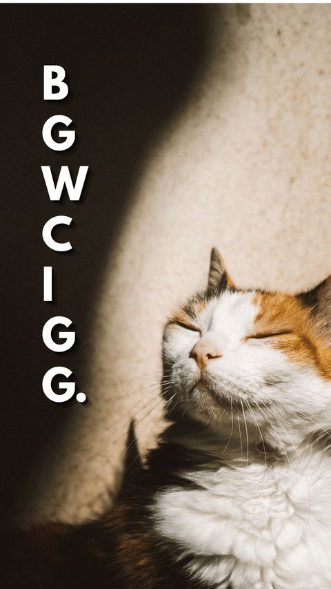 B.G.W.C.I.G.G. acronym-only wallpaper