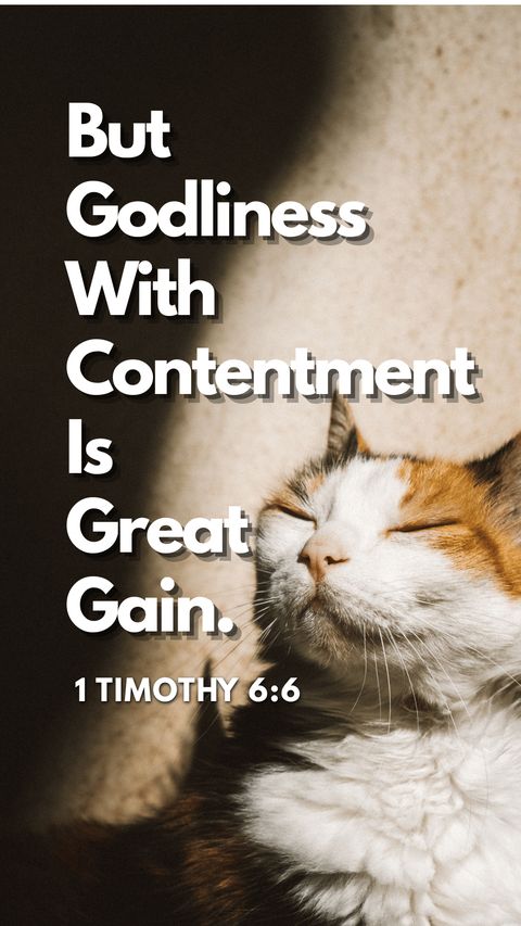 But godliness with contentment is great gain — 1 Timothy 6:6 full verse wallpaper