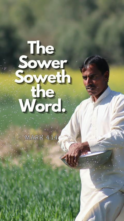 The Sower (Mark 4:14) phone wallpaper, full verse