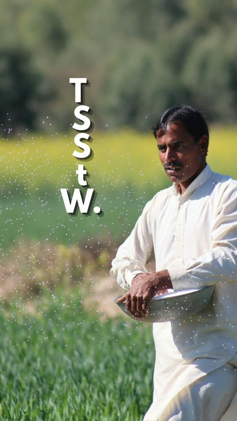 The Sower (Mark 4:14) phone wallpaper, letters only